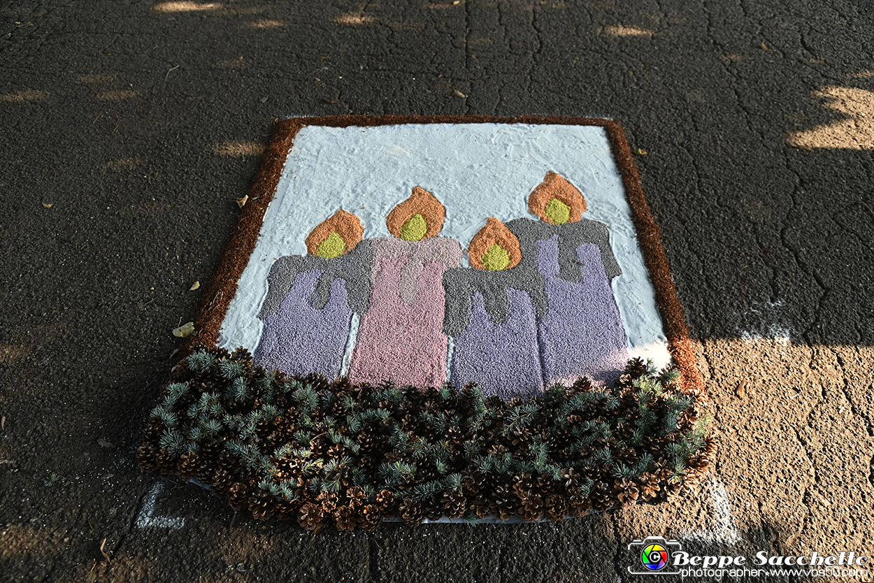 VBS_9855 - Infiorata Santuario della Madonnina di Villanova d'Asti 2024.jpg